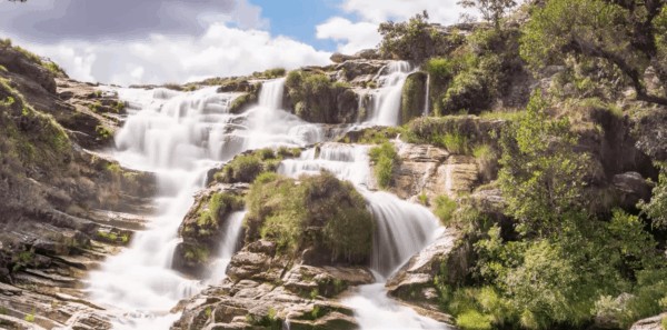 Photo of Rock Water as part of bach flower essences list