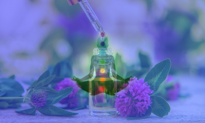 Bach Flower Remedies