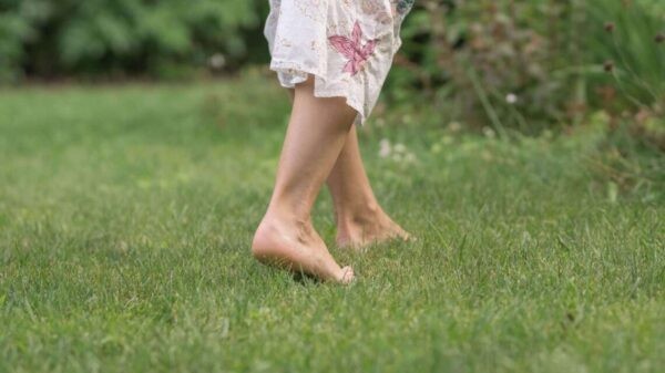 barefeet walking on grass, feeling nice