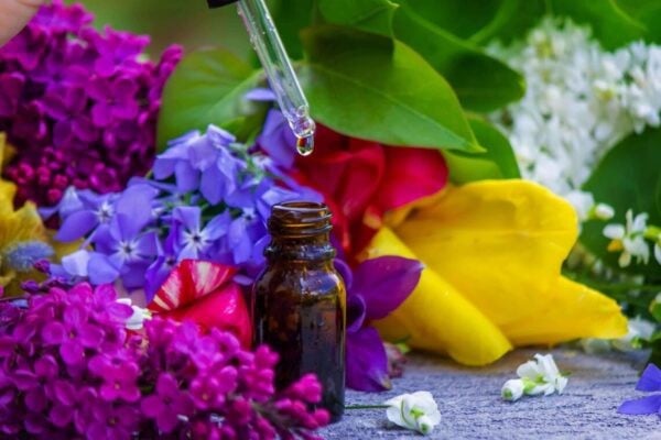 flowers and flower essence dropper